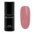 Smalto semipermanente 7,2 ml - Frozen Roses